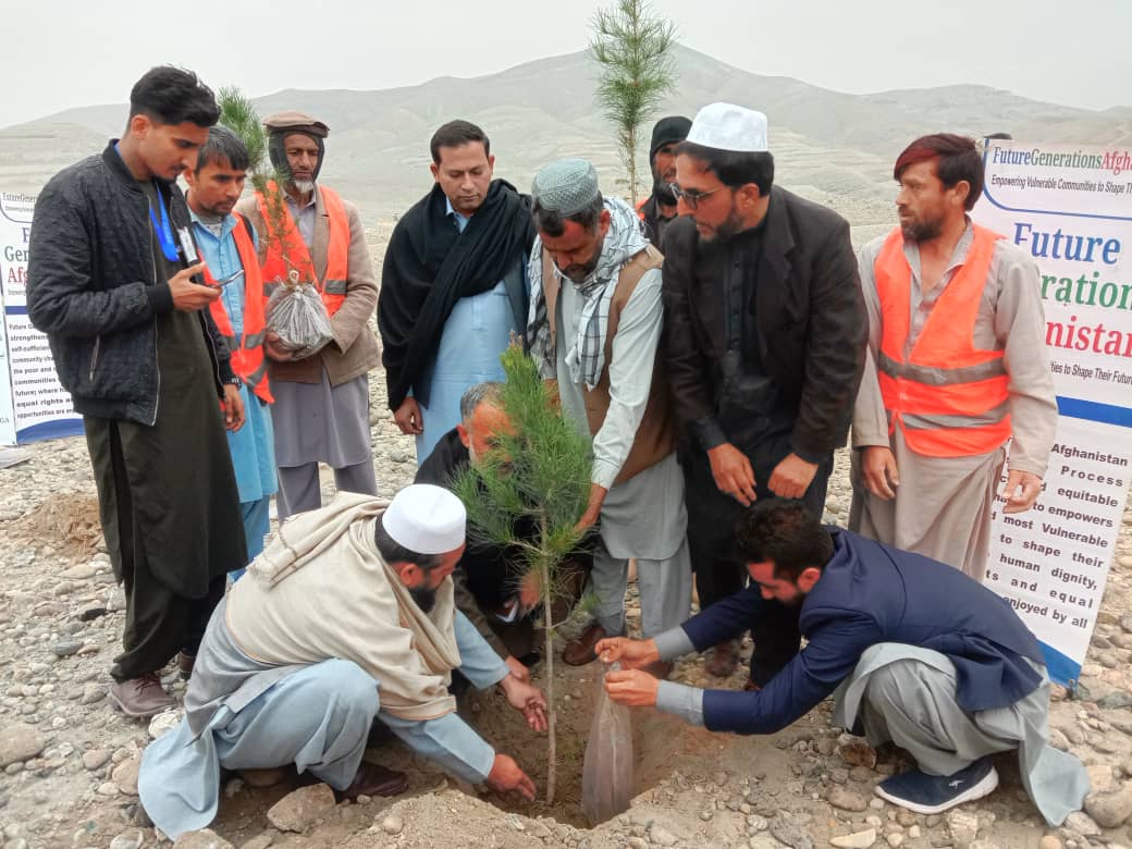 د ځنګلونو د پراختیا په پار هڅې؛ ننګرهار کې د مصنوعي ځنګلونو کرلو چارې پیل شوې