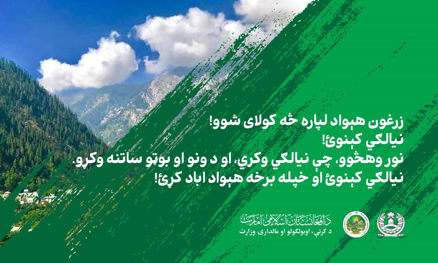 د نیالګیو کېنولو کمپاین