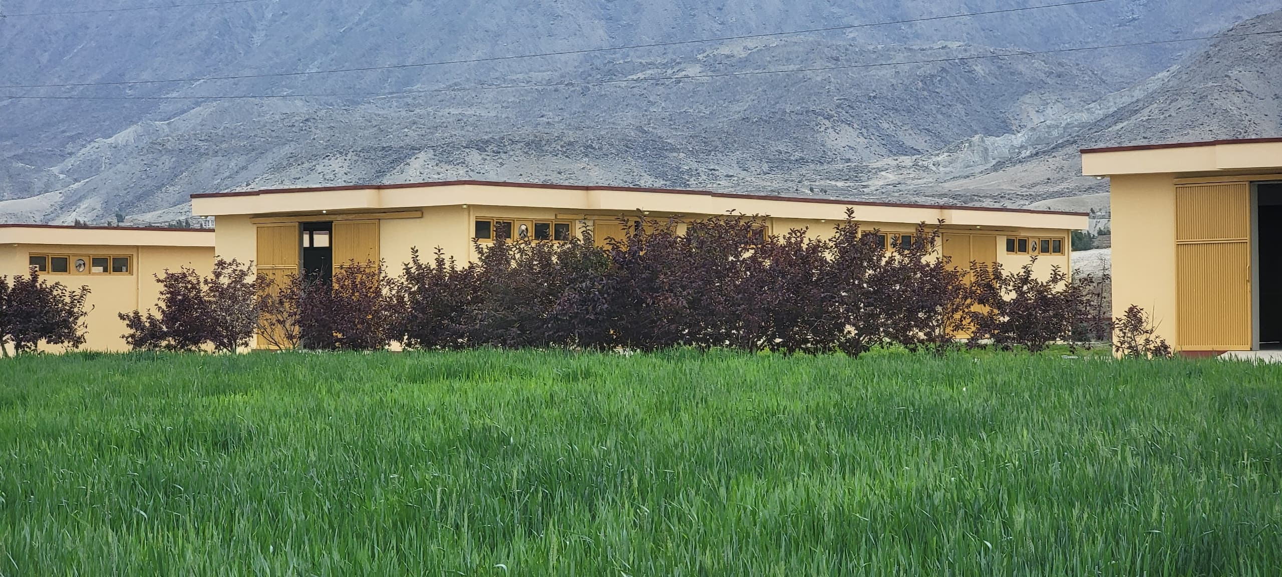 تکمیل کار ترمیم پنج سردخانه در ولایتهای کابل، میدان وردک و لغمان