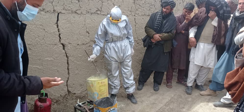 پکتیکا کې یوشمېر بزګران وروزل شول
