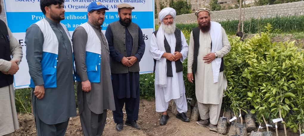 دکونړ دکرنې، اوبولګولو او مالدارۍ ریاست د ملګرو ملتونو پراختیایي ادارې په همکارۍ ددې ولایت په درېیو ولسوالیو «چپې درې، ماڼوګې او وټپور» کې د مالټې ۳۰ جریبه بڼونو جوړولو چارې پیل کړي دي.