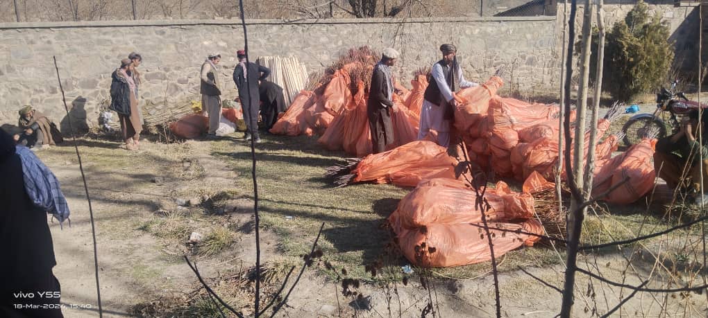 د پکتیکا ارګون کې پر یوشمېر بزګرانو نیالګي ووېشل شوې