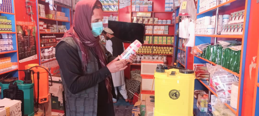 د پکتیکا په مرکز کې یوشمېر نباتي درمل پلورنځۍ وڅارل شوې