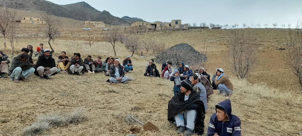 کمپاین نهال شانی در ولسوالی میرامور ولایت دایکندی آغاز گردید