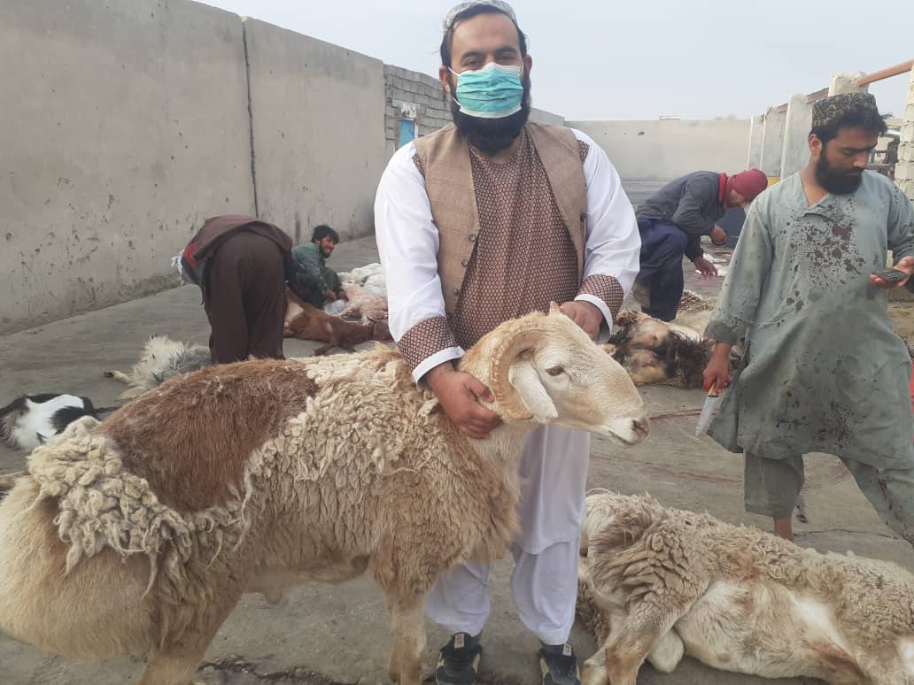 د هلمند مرکز لښکرګاه ښار کې د څارویو حلالولو ځایونه وڅارل شول