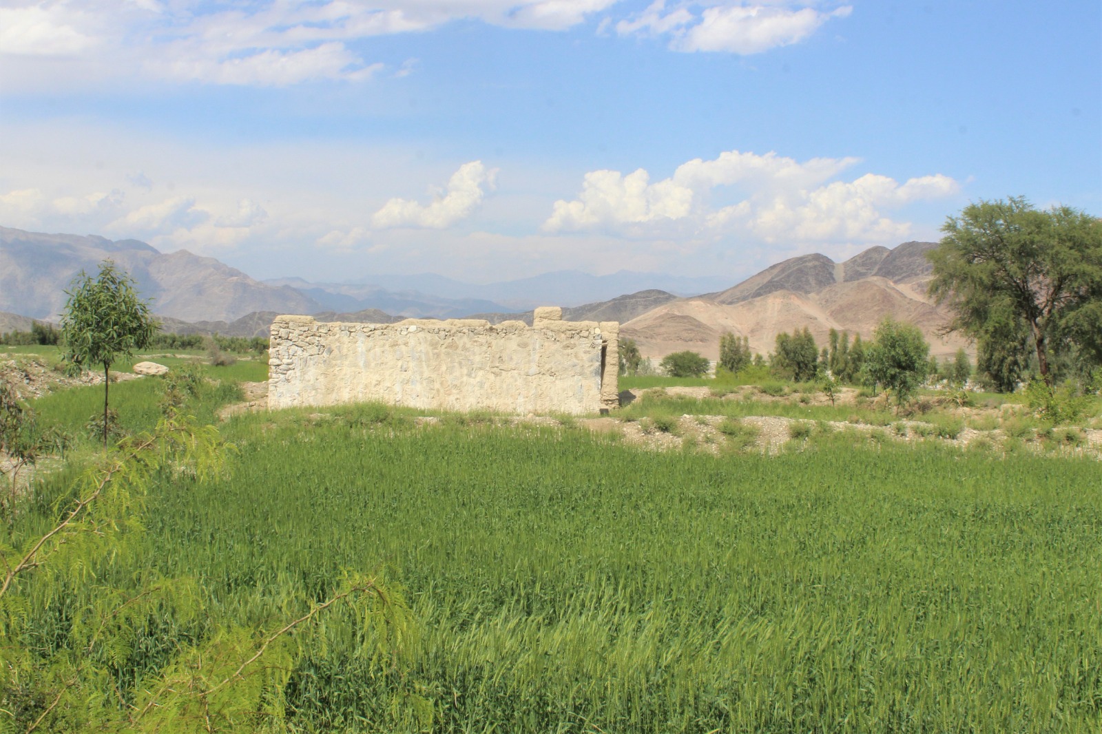 د ننګرهار کانال شرکت تخریب شوي سیمې رغول کېږي