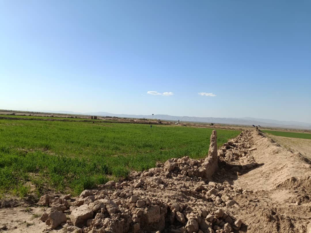 تلاش برای تشخیص زمین برای ترمینال موترهای مسافربری در ولسوالی گذره ولایت هرات
