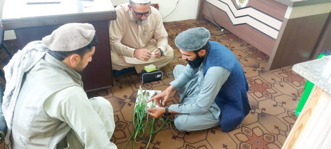 خوست کې د کروندو خوندیتوب په پار هلې ځلې