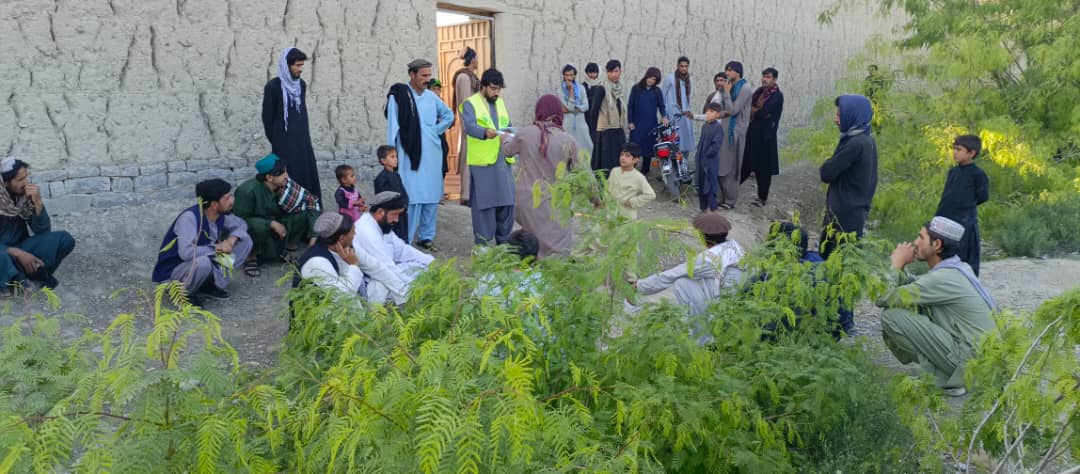 خوست کې ۶۰ بېوزله کورنیو ته د چرګانو کورني فارمونه جوړېږي