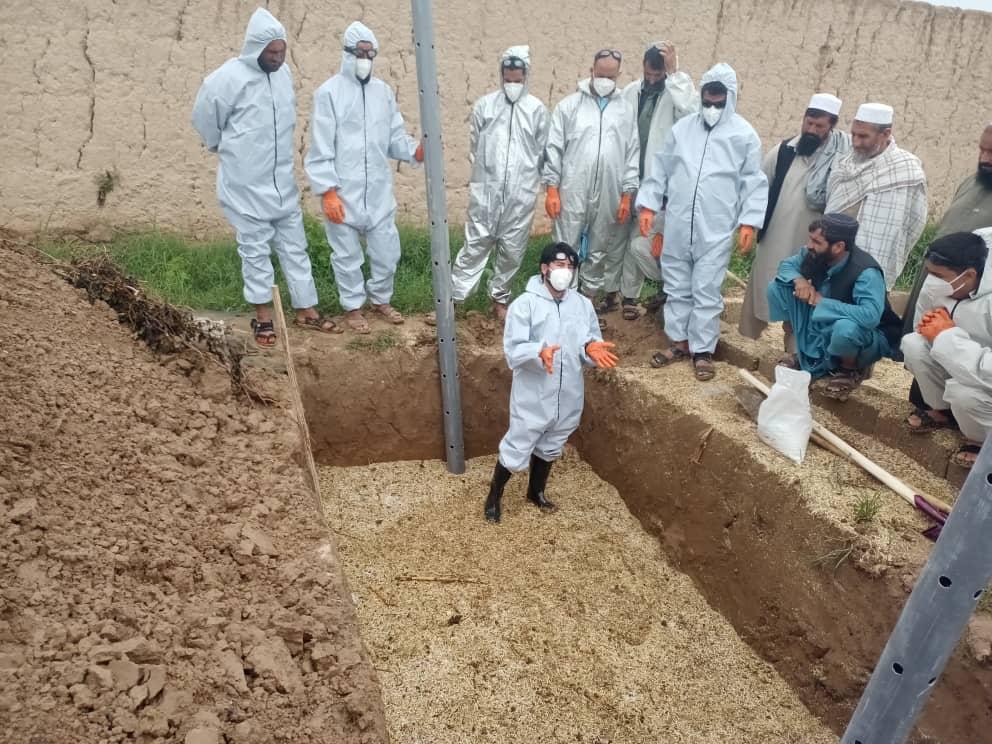 فراه کې د مالدارۍ سکټور معیاري کولو په پارهڅې؛ فارم لرونکو ته روزنیز پرورګرام دائر شو