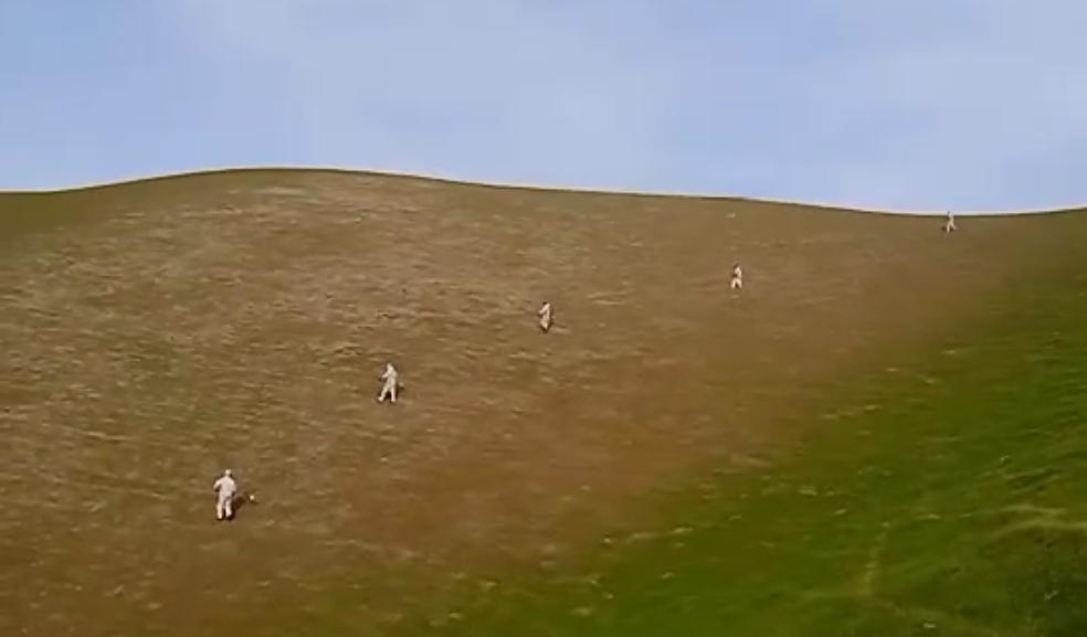 کمپاین مبارزه با ملخ‌ها در ولسوالی رباط سنگی هرات آغاز شد