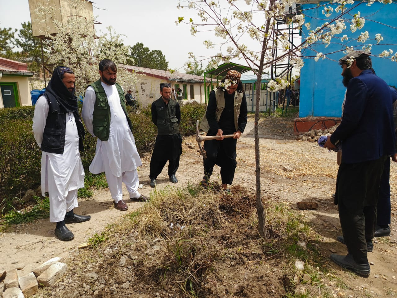 د پکتیا دکرنې ریاست شاوخوا سیمې پاکې شوې