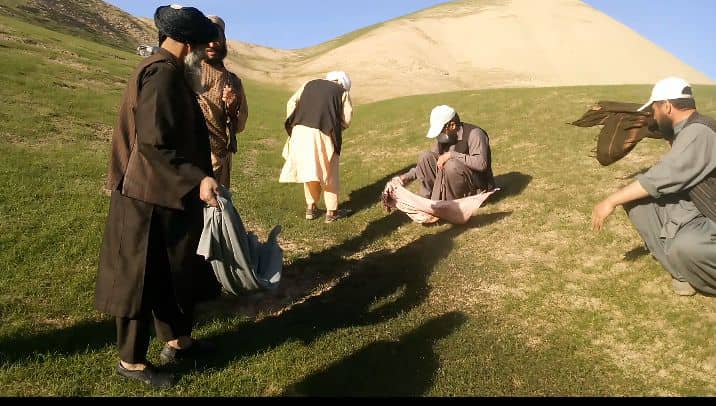 مجادله علیه آفت ملخ در ولایت هرات جریان دارد