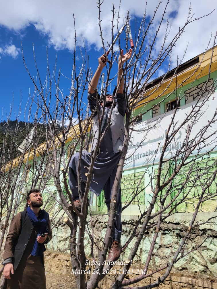نورستان کې یوشمېر بڼوال وروزل شول