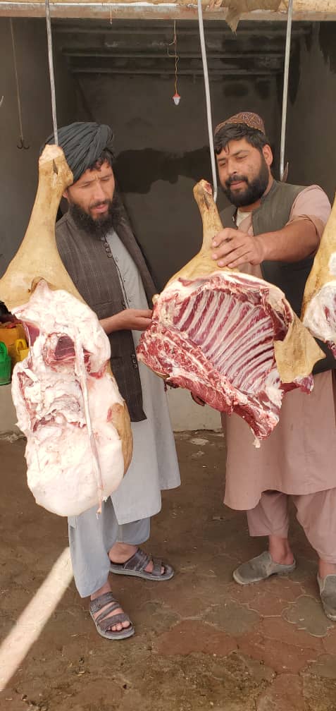 اروزګان کې یوشمېر قصابۍ وڅارل شول
