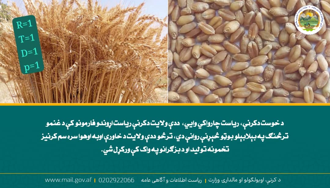 د ورځ مهمی خبری