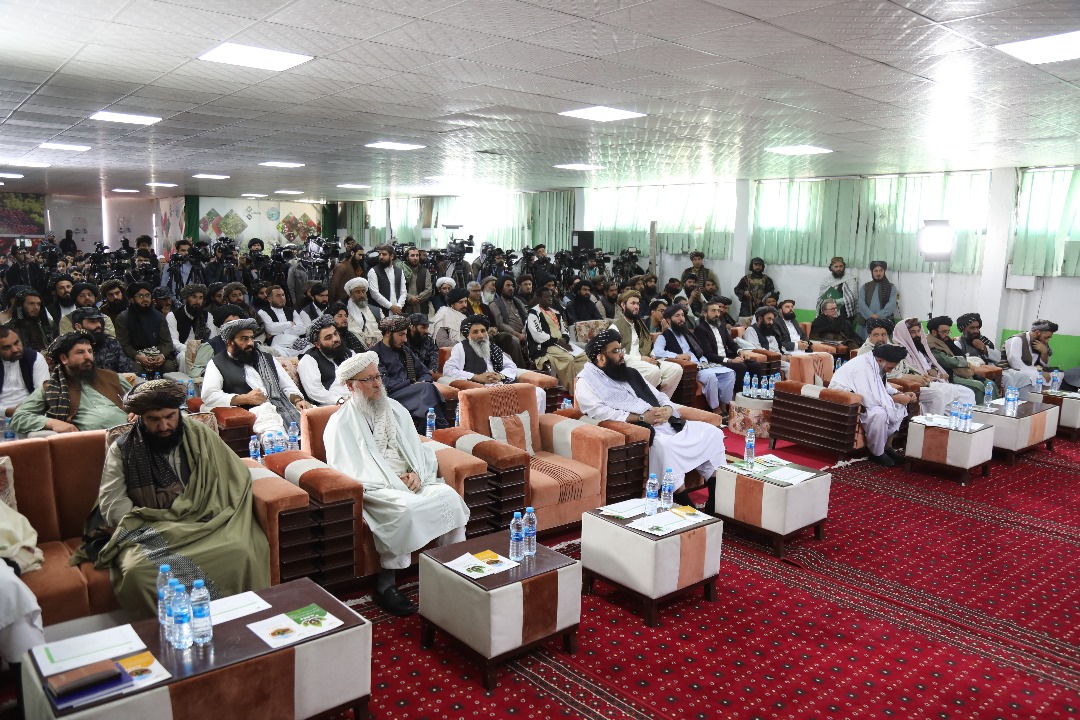 د بزګر مېله او دکرنیزو محصولاتو دېرشم نندارتون پرانیستل شو