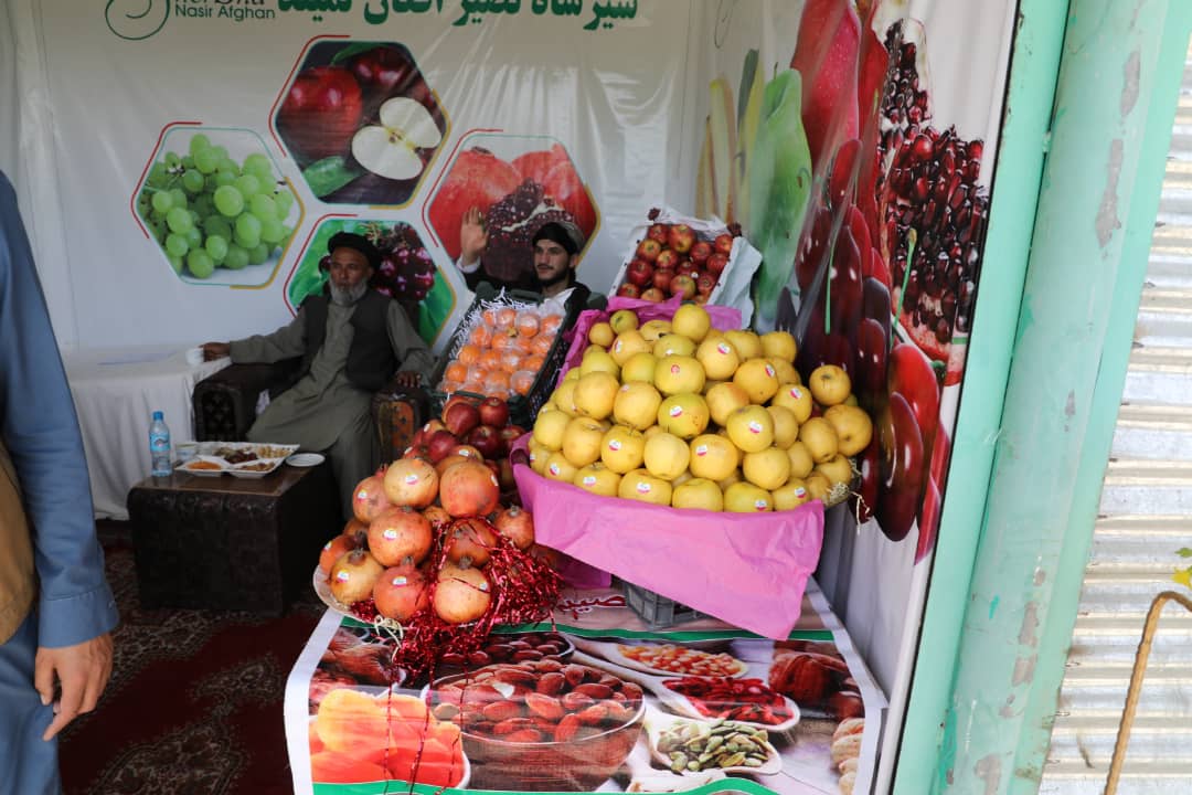 د کرنیزو محصولاتو په دیرشم نندارتون کې د هېواد د بڼوالو پروسس شوي مېوې په انځورونو کې  