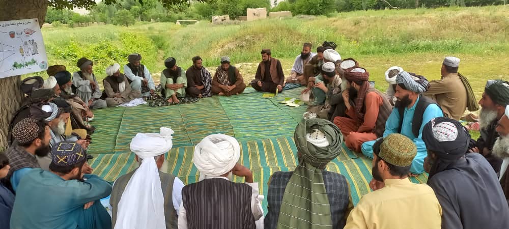 ایجاد دو کلینیک حیوانی و ۱۴ مرکز فروش محصولات حیوانی در دو ولسوالی بادغیس