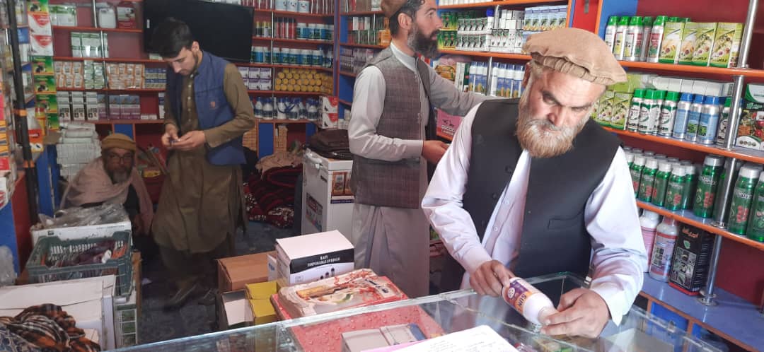 د پکتیکا مرکز کې یوشمېر نباتي درمل پلورنځیو څخه څارنه وشوه