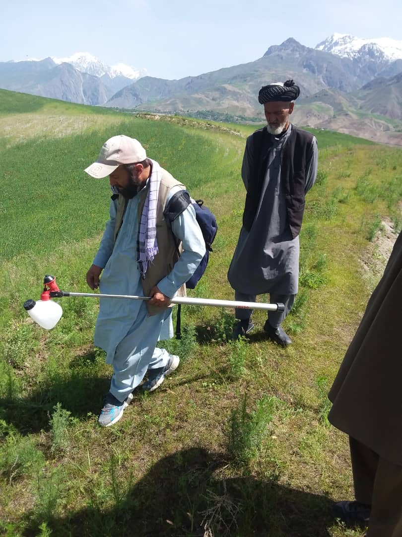 پاک سازی بیش از ۵۰۰ جریب زمین در ولسوالی خواهان ولایت بدخشان از وجود ملخ