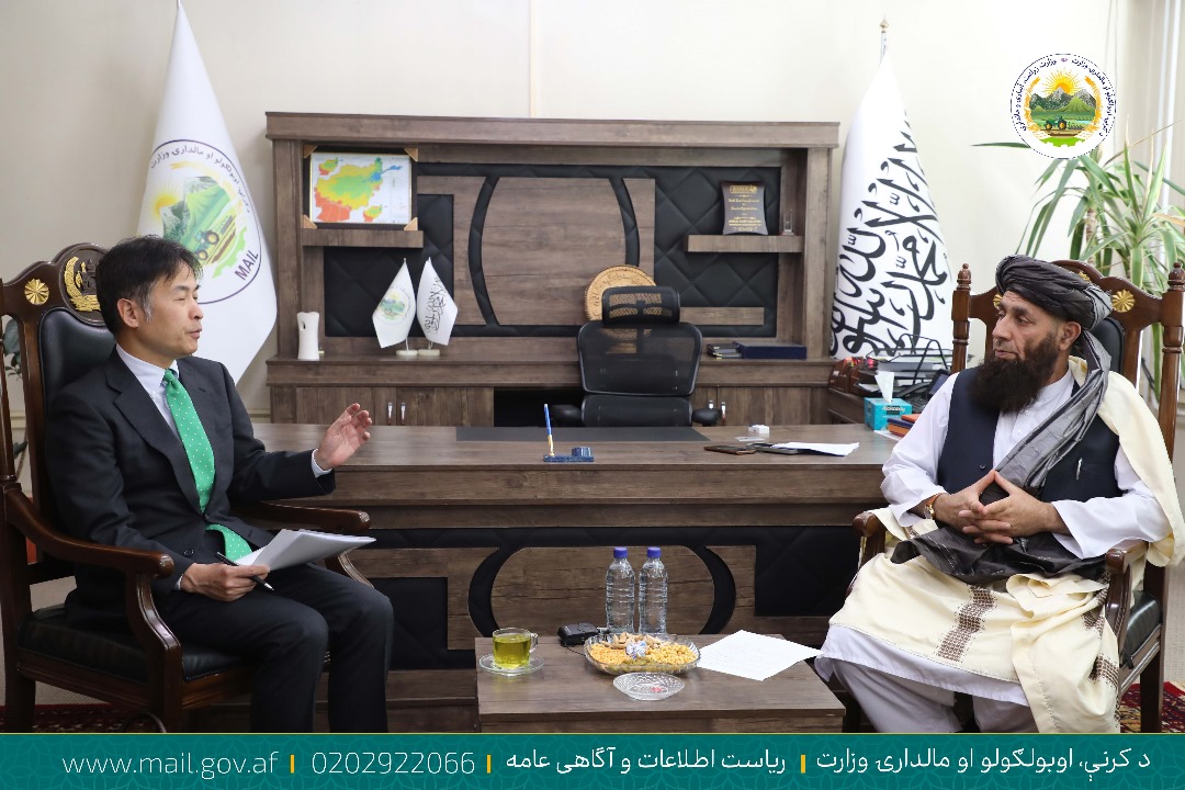 د کرنې وزارت دکرنې او مالدارۍ مرستیال په افغانستان کې د جاپان له سفیر سره وکتل