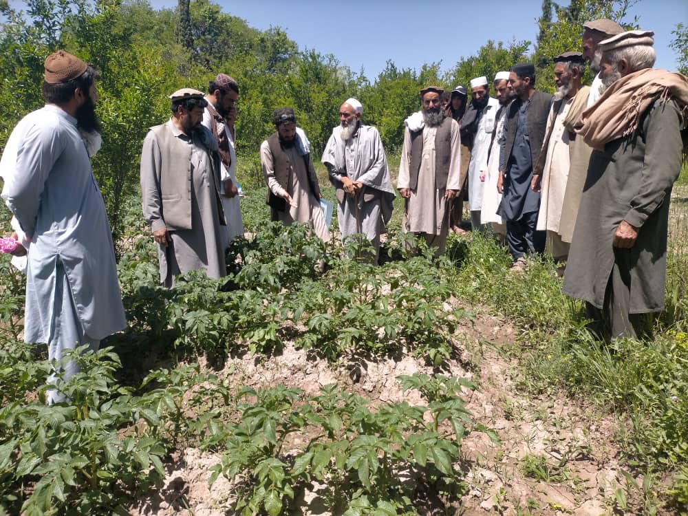 ننګرهار کې یوشمېر بزګرانو ته روزنیز پروګرام په لاره واچول شوه