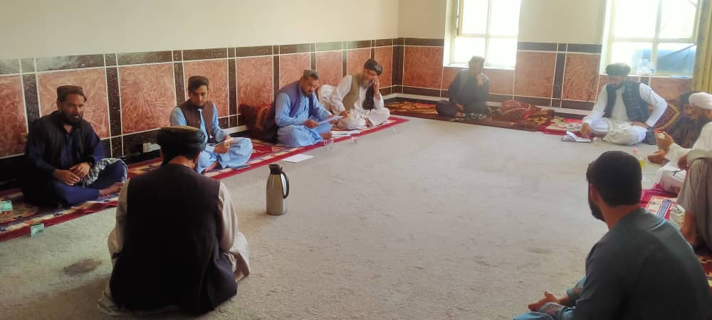 کندهار کې د طبي بوټو د راټولولو قرارداد لاسلیک شو