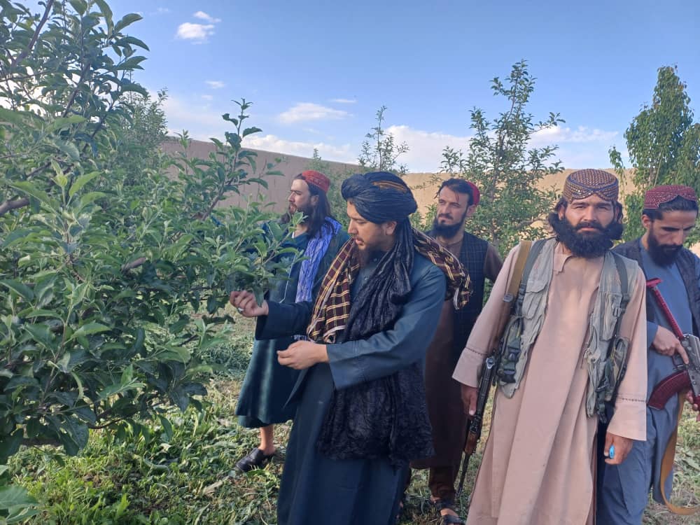 غزني کې د بزګرانو ستونزو ته د رسېدنې په پار هڅې