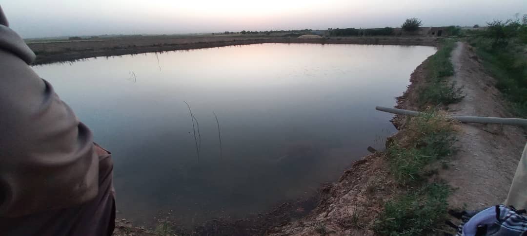 هلمند کې د کب روزنې پنځه فارمونه فعال او ګټې اخیستنې ته وسپارل شول