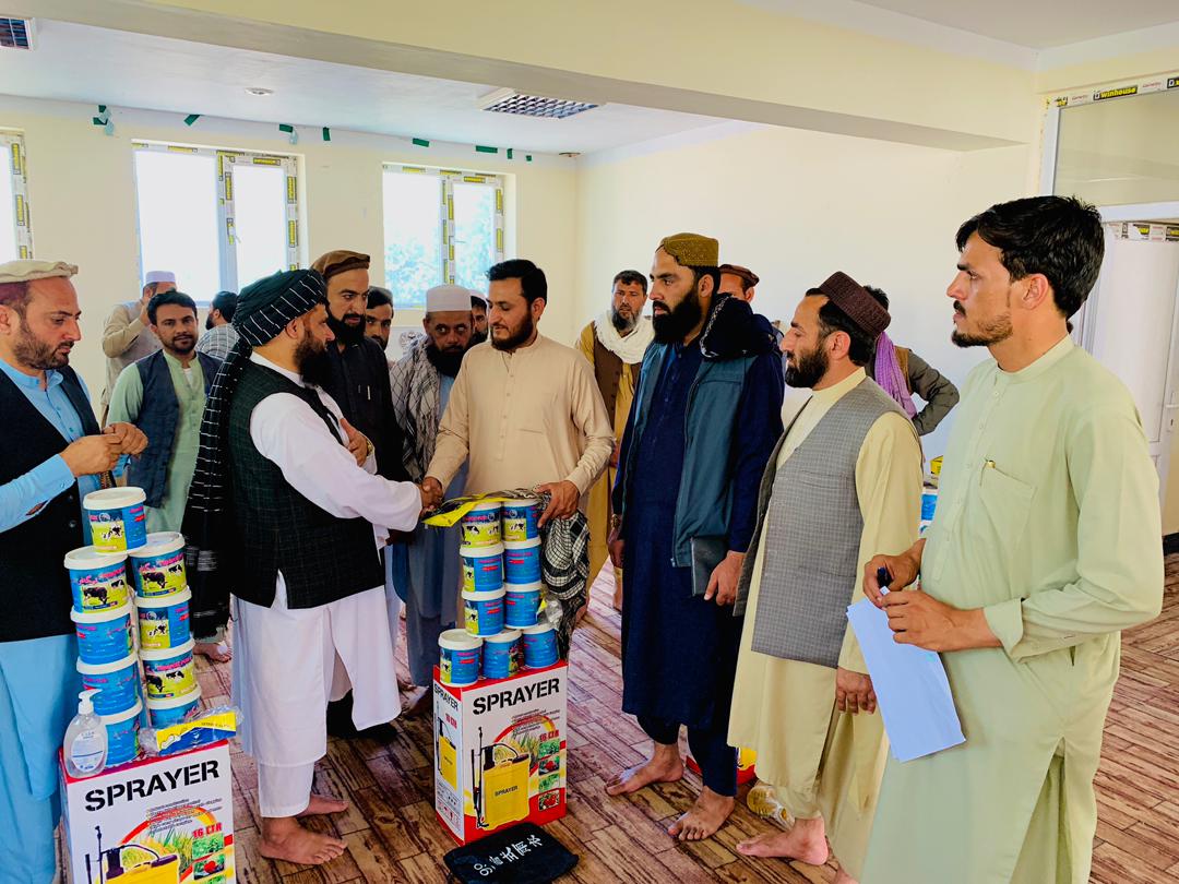 ننګرهار کې دکوچیانو څارویو ته کانګو وینه بهیدونکي ناروغۍ پر وړاندې د درمل شېندلو کمپاین پیل شو