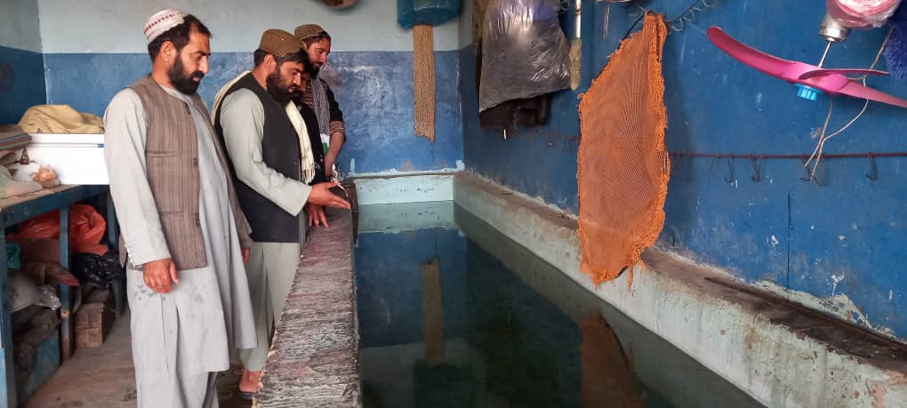 د هلمند ګرشک کې د کب روزنې ۲۵۳ فارمونه فعالیت کوي