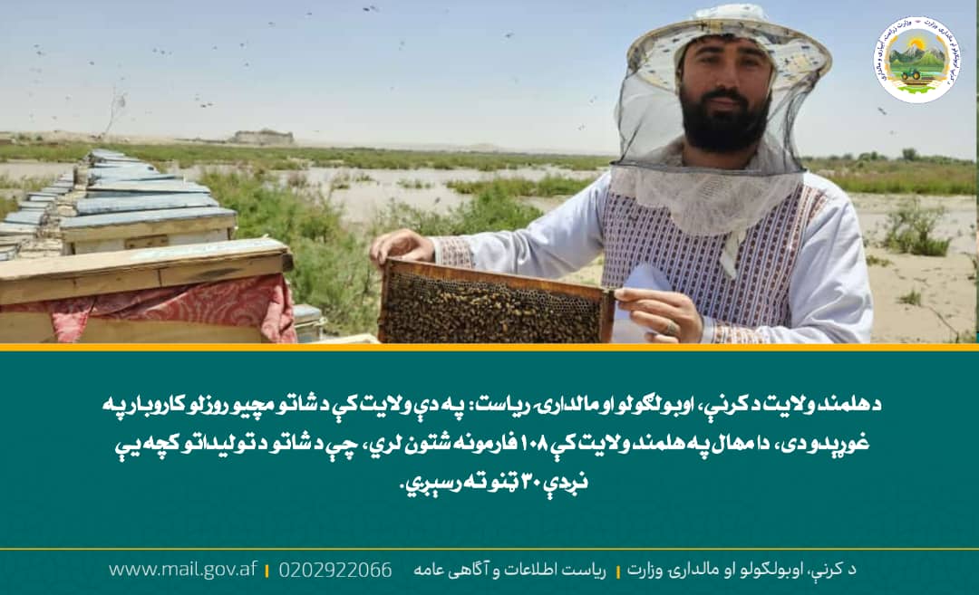 د ورځ مهمی خبری