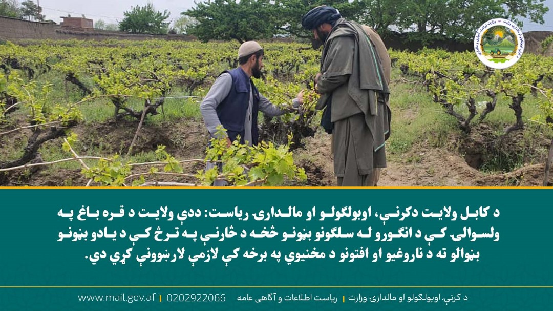 د ورځ مهمی خبری