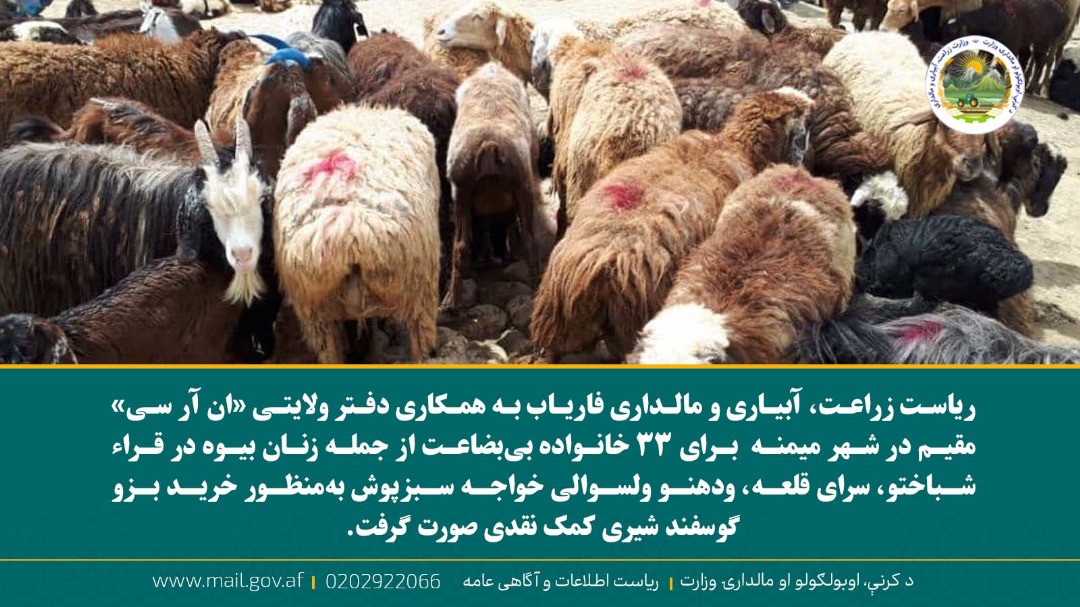 خبرهای مهم روز