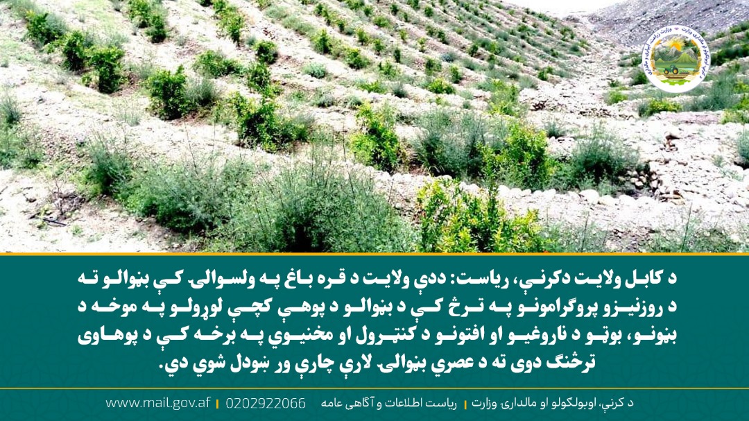 د ورځ مهمی خبری