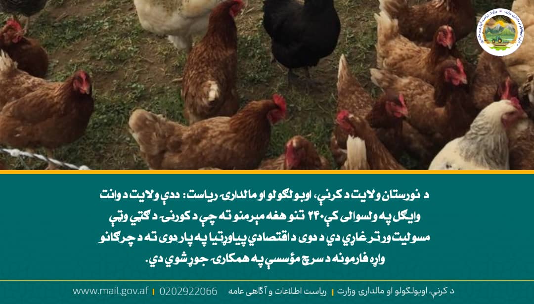 د ورځ مهمی خبری