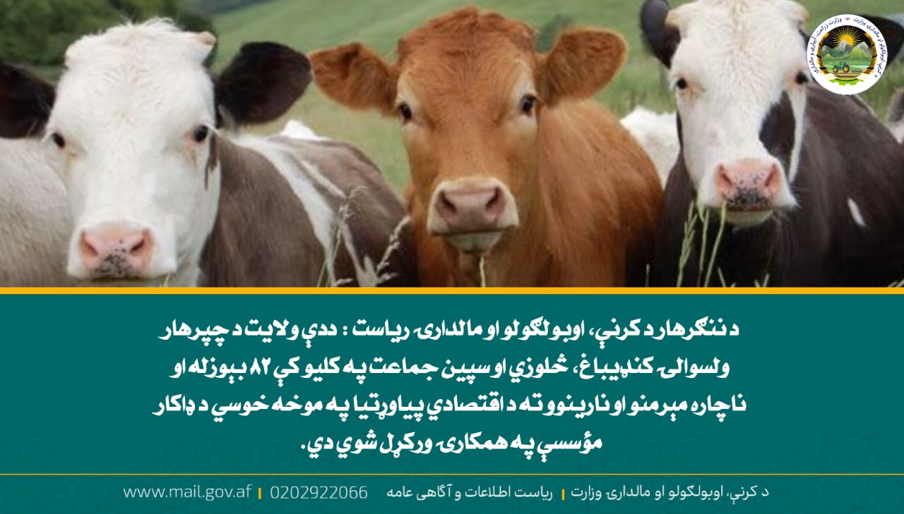 د ورځ مهمی خبری
