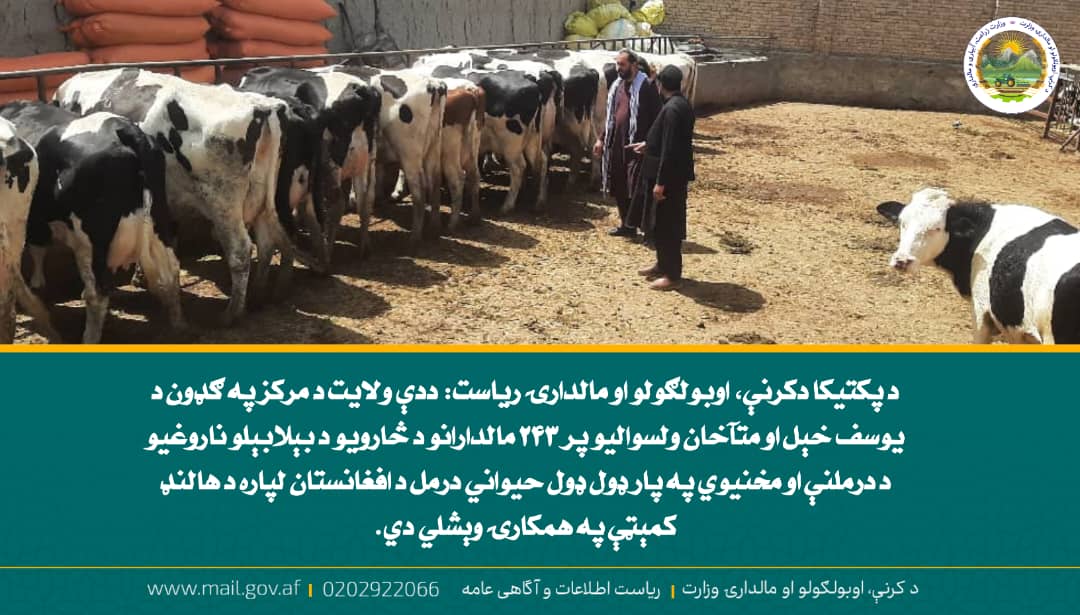 د ورځ مهمی خبری
