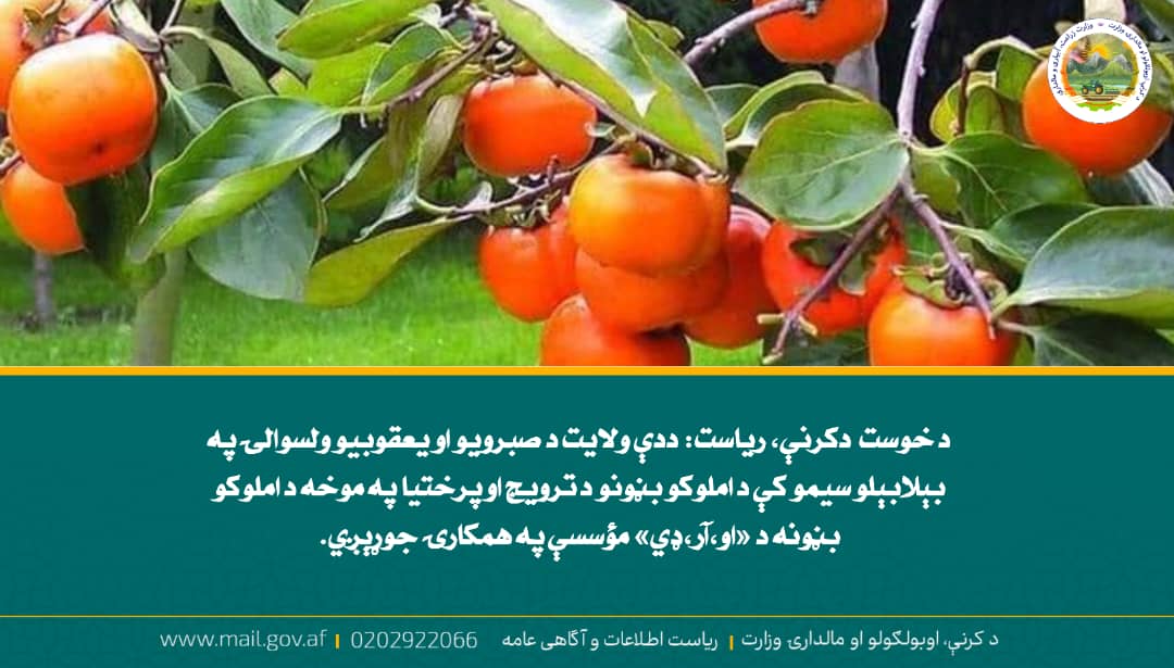د ورځ مهمی خبری