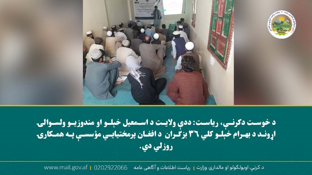 د ورځ مهمی خبری