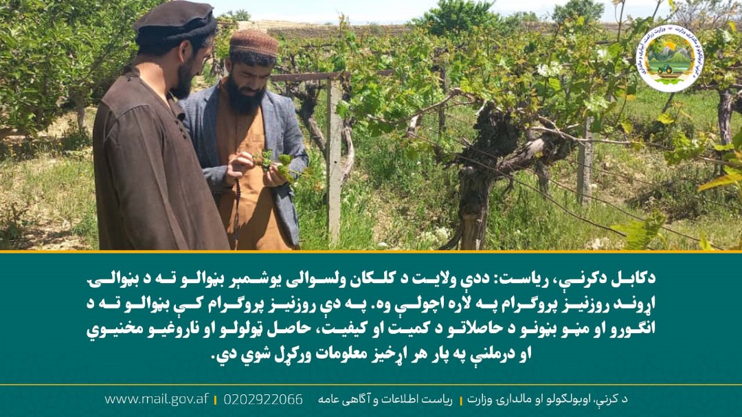 د ورځ مهمی خبری