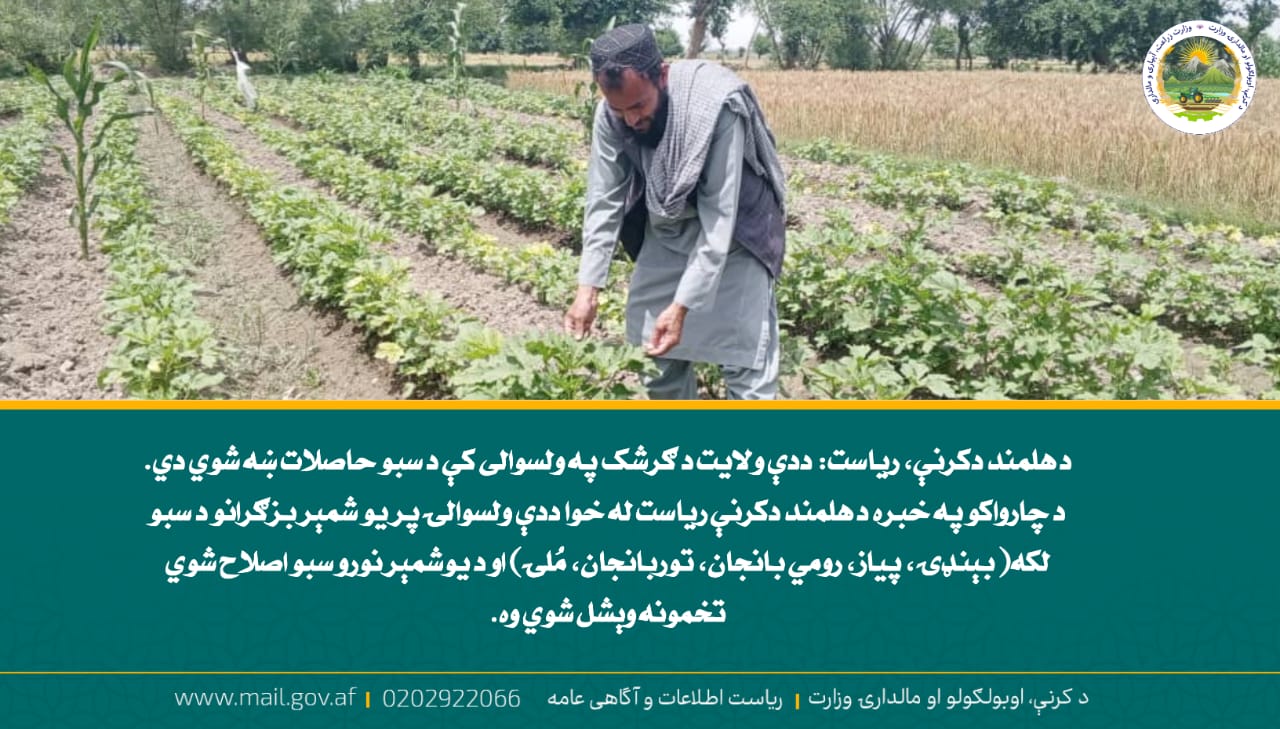 د ورځ مهمی خبری