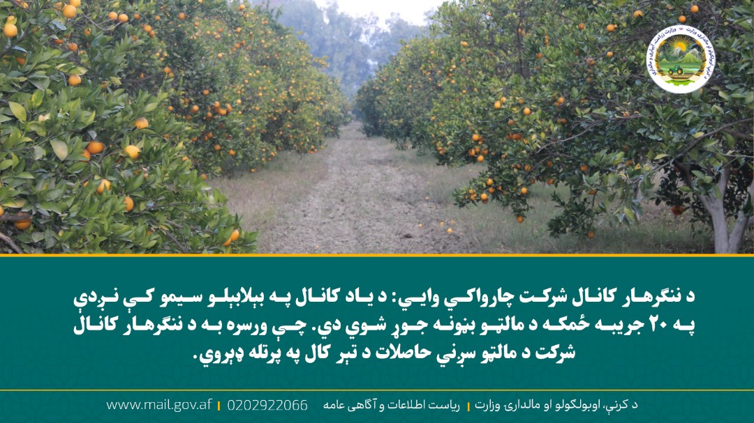 د ورځ مهمی خبری