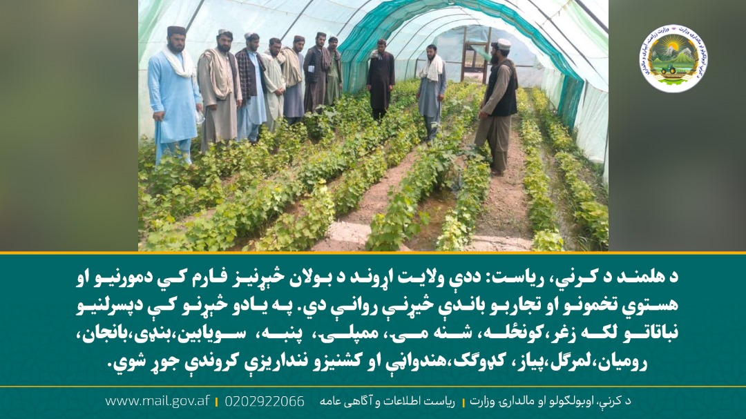 د ورځ مهمی خبری