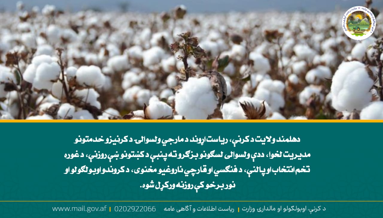 د ورځ مهمی خبری