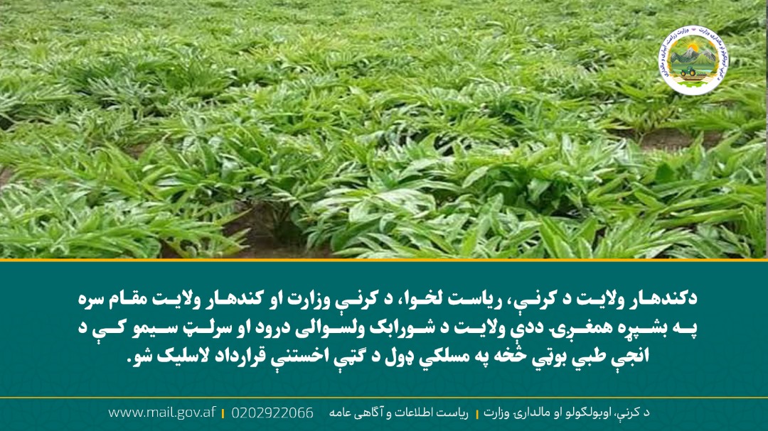 د ورځ مهمی خبری