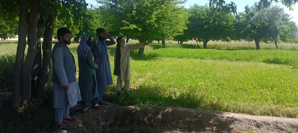 د مالدارۍ سکټور پراختیا په پار هڅې؛ خوست کې د مالدارۍ فارمونه جوړېږي