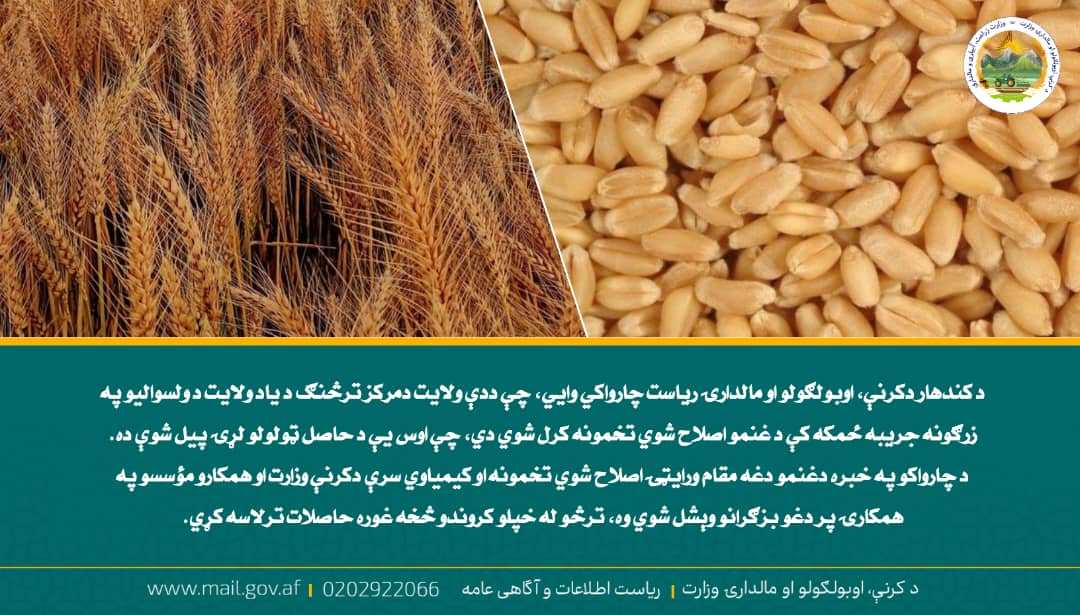 د ورځ مهمی خبری