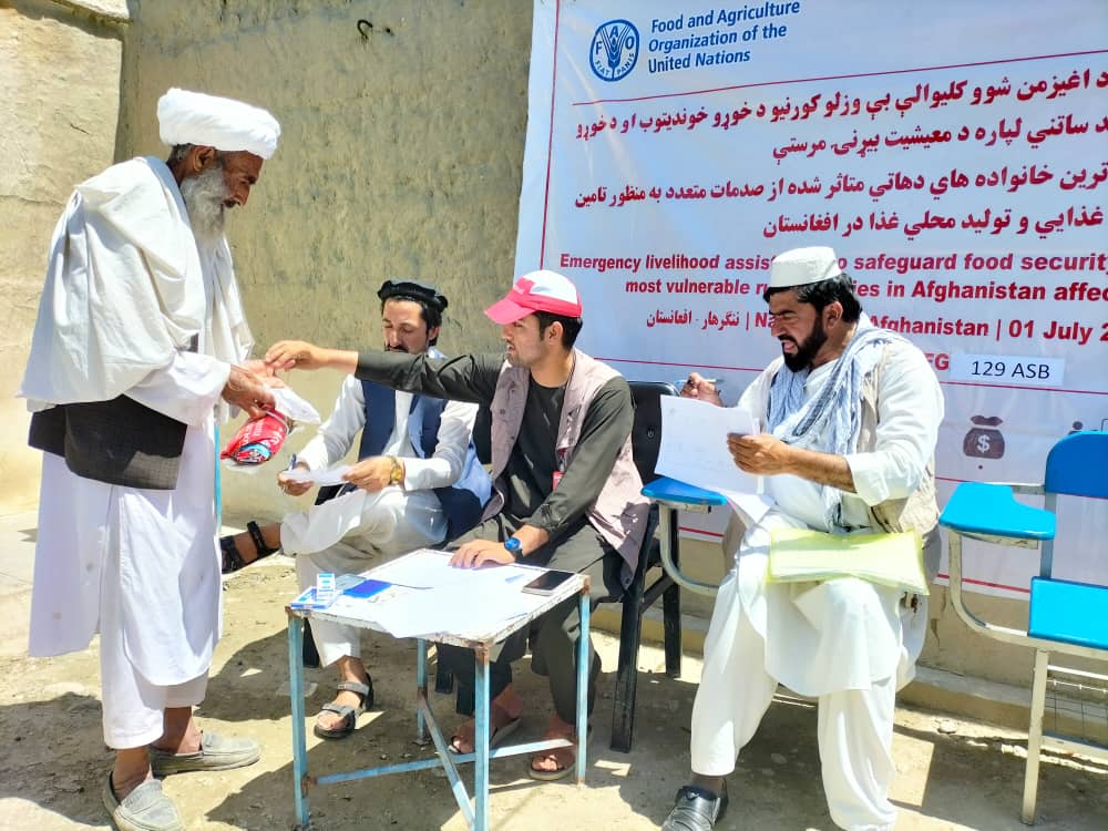 د ننګرهار چپرهار کې پر سلګونو بزګرانو د لوبیا اصلاح شوي تخم وېش لړۍ پیل شوه